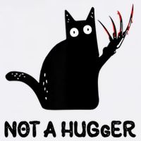 Funny Cat Not A Hugger Sarcastic Cat Saying Poster