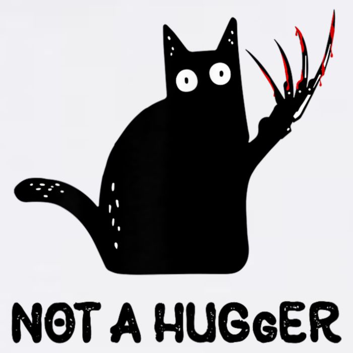 Funny Cat Not A Hugger Sarcastic Cat Saying Poster