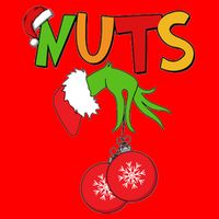 Funny Christmas Nuts Matching Couple Poster
