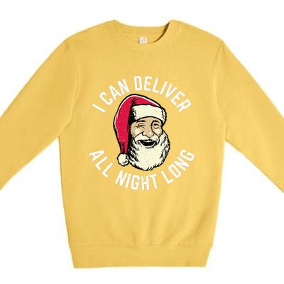 Funny Christmas Naughty Santa I Can Deliver All Night Long Premium Crewneck Sweatshirt