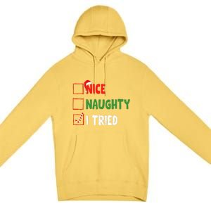 Funny Christmas Nice Naughty I Tried Holiday Xmas 2024 Premium Pullover Hoodie