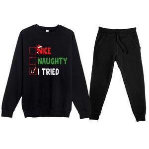 Funny Christmas Nice Naughty I Tried Holiday Xmas 2024 Premium Crewneck Sweatsuit Set