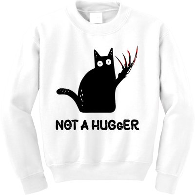 Funny Cat Not A Hugger Sarcastic Cat Saying Humor Joke Kids Sweatshirt