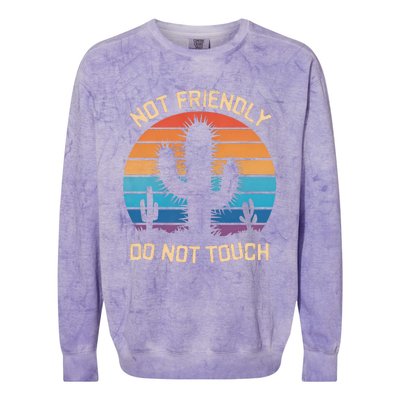 Funny Cactus Not Friendly Do Not Touch Vintage Prickly Colorblast Crewneck Sweatshirt