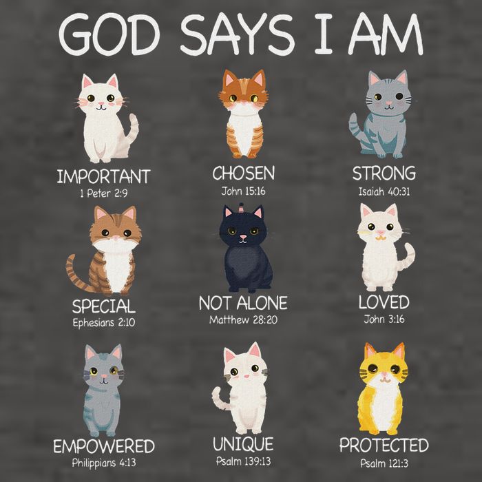 Funny Cat Ns God Says I Am Christian Cat Lover Vector Backpack