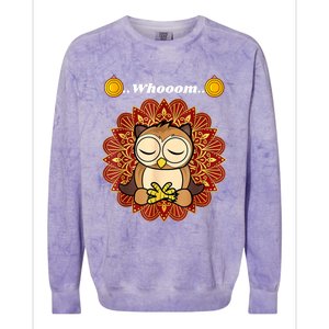 Funny Cute Owl Whom Design Colorblast Crewneck Sweatshirt