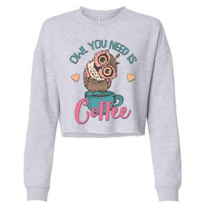 Funny Cute Owl You Need Is Coffee Cropped Pullover Crew