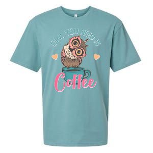 Funny Cute Owl You Need Is Coffee Sueded Cloud Jersey T-Shirt