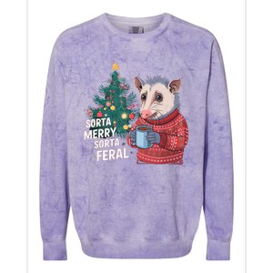 Funny Christmas Opossum Sorta Merry Sorta Feral Santa Xmas Tank Top Colorblast Crewneck Sweatshirt