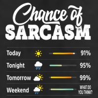 Funny Chance Of Sarcasm Humor Fun Sarcastic 15oz Campfire Ceramic Mug