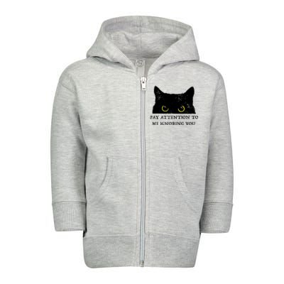 Funny Cat Pay Attention To Me Ignoring You Sarcastic Cat Mom Toddler Zip Fleece Hoodie