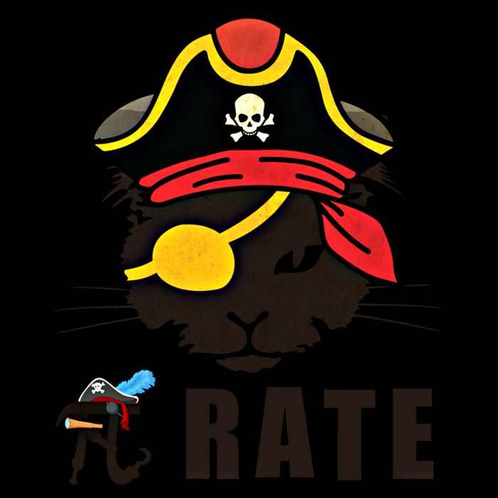 Funny Cat Pi Day Pirate Happy Pi Day Gift Impact Tech Backpack