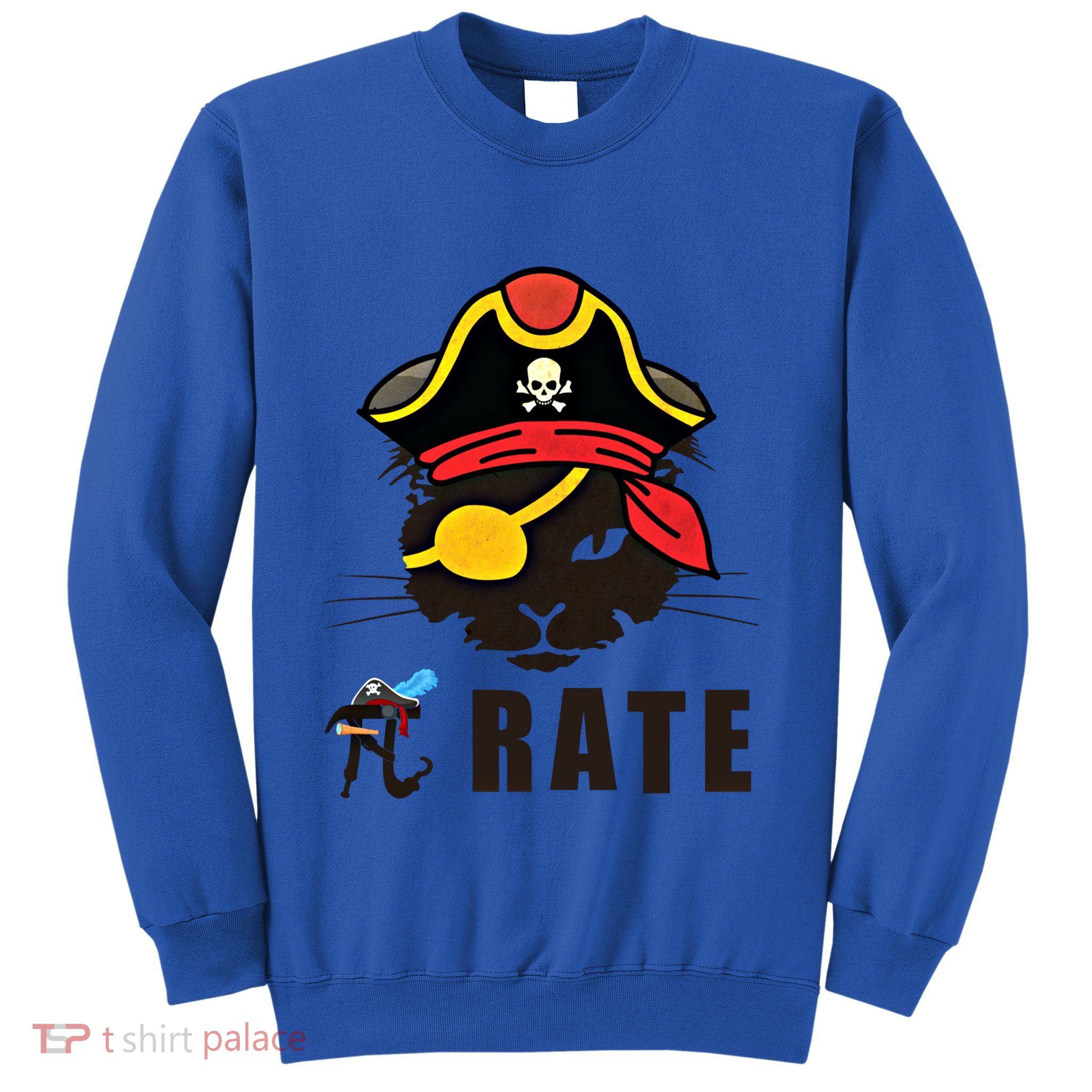 Funny Cat Pi Day Pirate Happy Pi Day Gift Sweatshirt