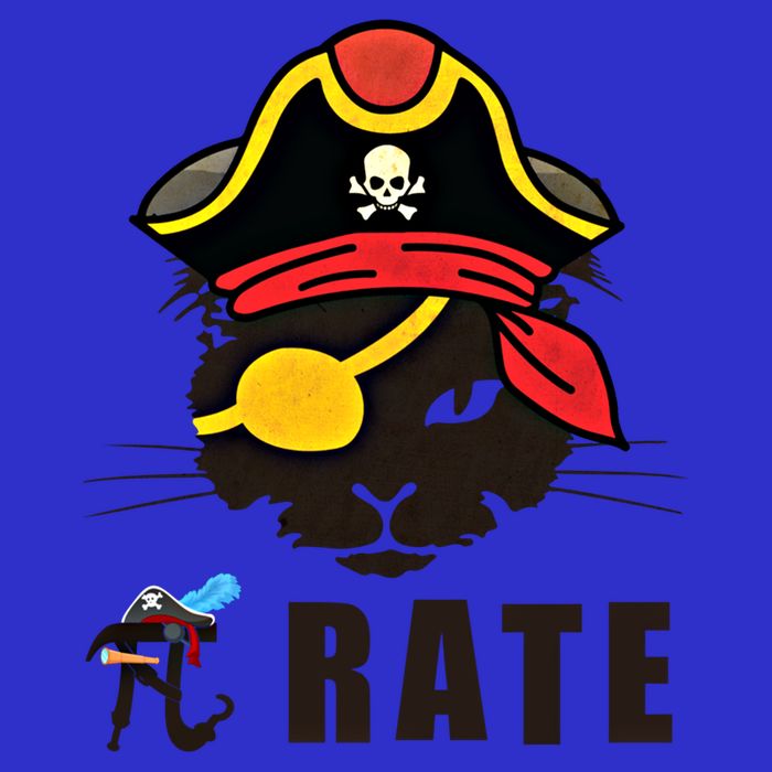 Funny Cat Pi Day Pirate Happy Pi Day Gift 16 in Basic Backpack