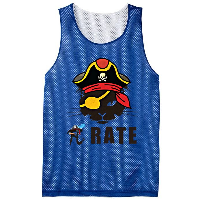 Funny Cat Pi Day Pirate Happy Pi Day Gift Mesh Reversible Basketball Jersey Tank