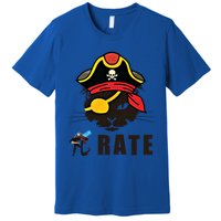 Funny Cat Pi Day Pirate Happy Pi Day Gift Premium T-Shirt