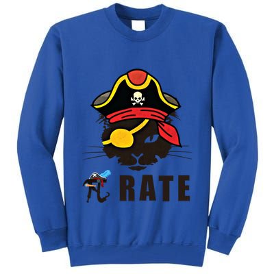 Funny Cat Pi Day Pirate Happy Pi Day Gift Tall Sweatshirt