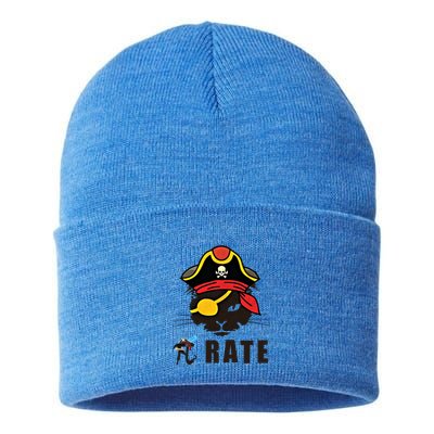 Funny Cat Pi Day Pirate Happy Pi Day Gift Sustainable Knit Beanie