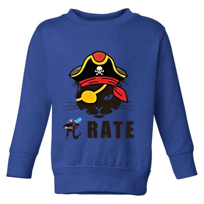 Funny Cat Pi Day Pirate Happy Pi Day Gift Toddler Sweatshirt