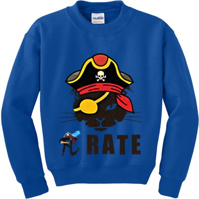 Funny Cat Pi Day Pirate Happy Pi Day Gift Kids Sweatshirt