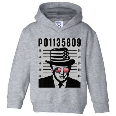 Funny Code P01135809 Toddler Hoodie