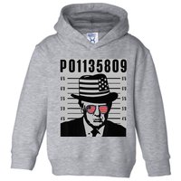 Funny Code P01135809 Toddler Hoodie