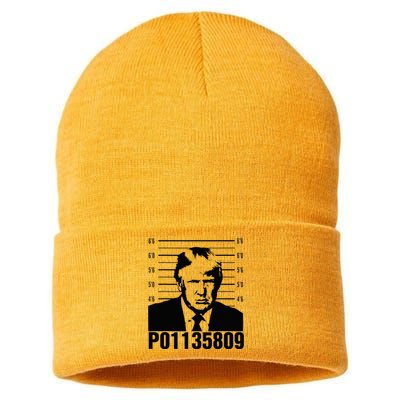 Funny Code P01135809 Trump Mug Shot Sustainable Knit Beanie