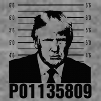 Funny Code P01135809 Trump Mug Shot 7-Panel Snapback Hat