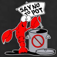 Funny Crawfish Pun Say No To Pot Lobster Festival Crayfish 11oz C Handle Ceramic Mug