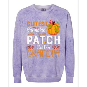 Funny Cutest Pumpkin In The Patch Call Me Grandpa Halloween Gift Colorblast Crewneck Sweatshirt