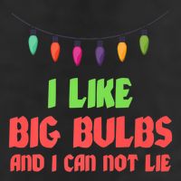Funny Christmas Pun I Like Big Bulbs And I Can Not Lie Great Gift Adult Drive Performance Visor