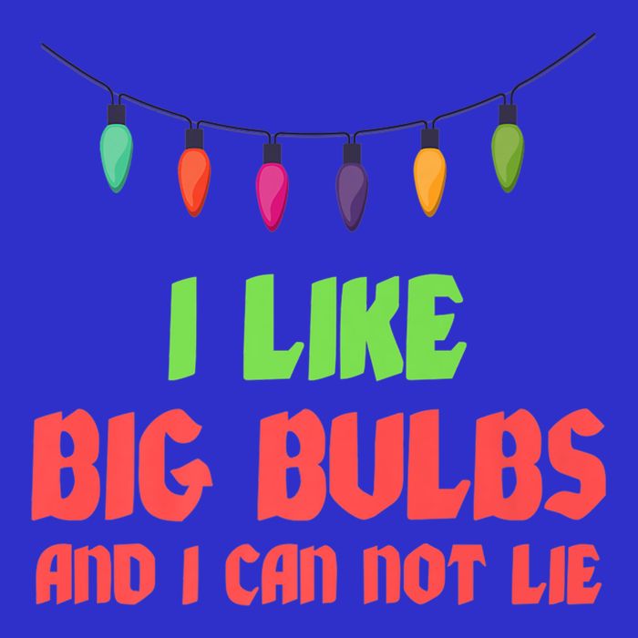 Funny Christmas Pun I Like Big Bulbs And I Can Not Lie Great Gift Stripe Pom Pom Beanie