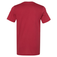 Funny Cat Paws Introverted But Willing To Discuss Cats V-Neck T-Shirt