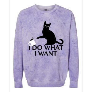 Funny Cat Personality Gift I Do What I Want Cute Gift Colorblast Crewneck Sweatshirt