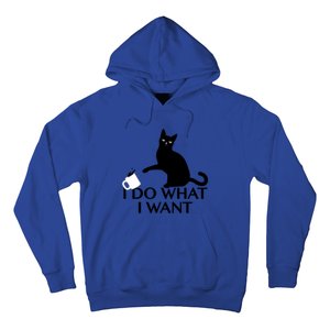 Funny Cat Personality Gift I Do What I Want Cute Gift Hoodie