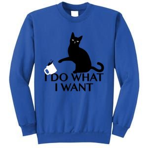 Funny Cat Personality Gift I Do What I Want Cute Gift Sweatshirt