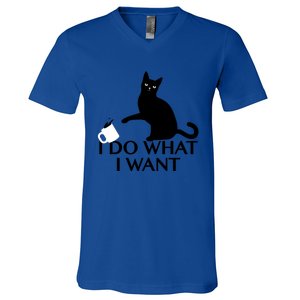 Funny Cat Personality Gift I Do What I Want Cute Gift V-Neck T-Shirt