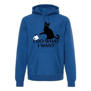 Funny Cat Personality Gift I Do What I Want Cute Gift Premium Hoodie