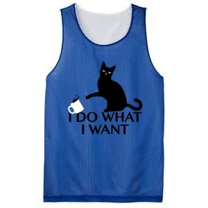 Funny Cat Personality Gift I Do What I Want Cute Gift Mesh Reversible Basketball Jersey Tank