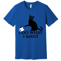 Funny Cat Personality Gift I Do What I Want Cute Gift Premium T-Shirt