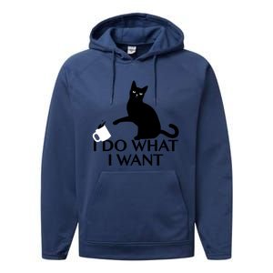 Funny Cat Personality Gift I Do What I Want Cute Gift Performance Fleece Hoodie