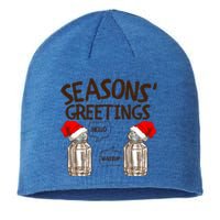 Funny Christmas Pun Gift Seasons Greetings Gift Sustainable Beanie