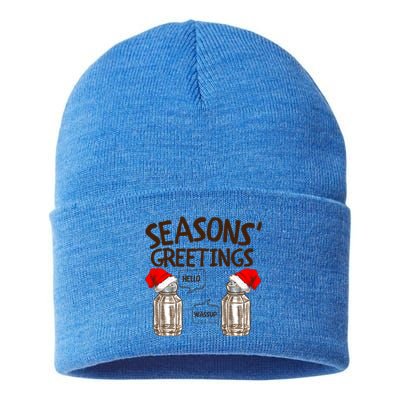 Funny Christmas Pun Gift Seasons Greetings Gift Sustainable Knit Beanie