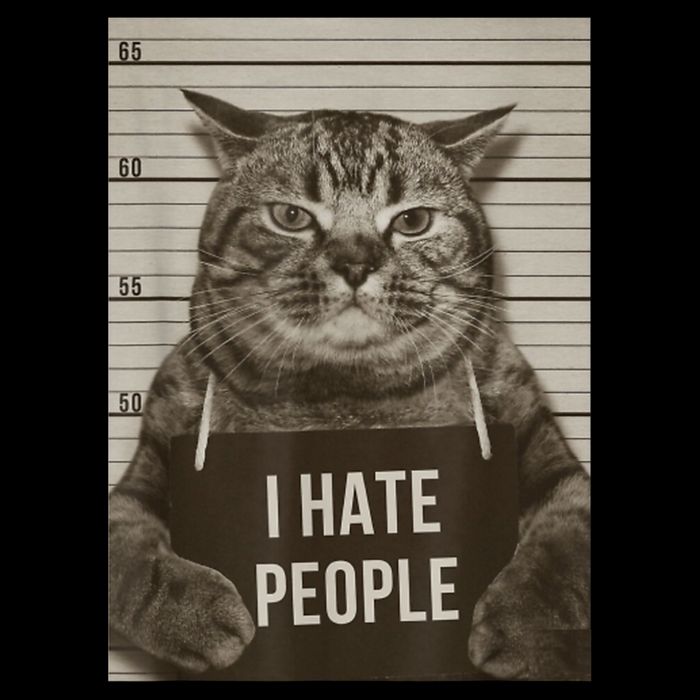 Funny Cat Police Mugshot I Hate People Toddler T-Shirt