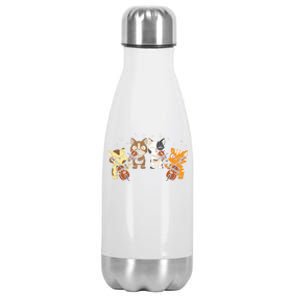 Funny Cats Playing Violin Cello Orchestra Musician Music Gift Lovers Stainless Steel Insulated Water Bottle