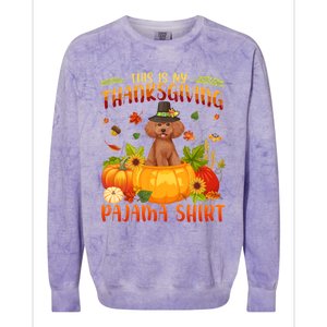 Funny Cute Poodle Dog Autumn Fall This Is My Thanksgiving Pajama Colorblast Crewneck Sweatshirt