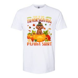 Funny Cute Poodle Dog Autumn Fall This Is My Thanksgiving Pajama Softstyle CVC T-Shirt