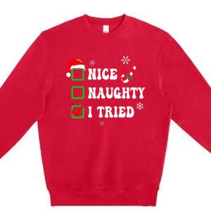 Funny Christmas Pajama Lights Nice Naughty I Tried Holiday Premium Crewneck Sweatshirt