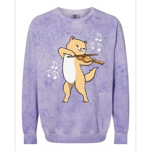 Funny Cat Playing Violin Giftt Cool Violinist Gift Colorblast Crewneck Sweatshirt