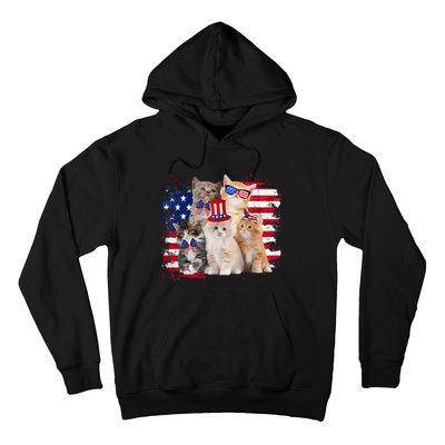 Funny Cat Patriotic USA Cat Lovers Cat Moms 4th July Hoodie